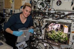 NASA晒照：微重力下生长的“太空之花”